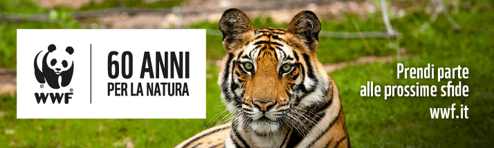 ASOIM e WWF: appello per bloccare la prova per cani da ferma al Lago