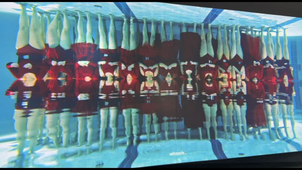 Biennale Arte 2026: Padiglioni Austria e Polonia a Venezia