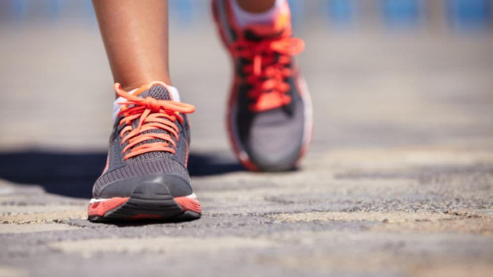 Camminata per la Pellegrina: sport e solidarietà a Piacenza il 15