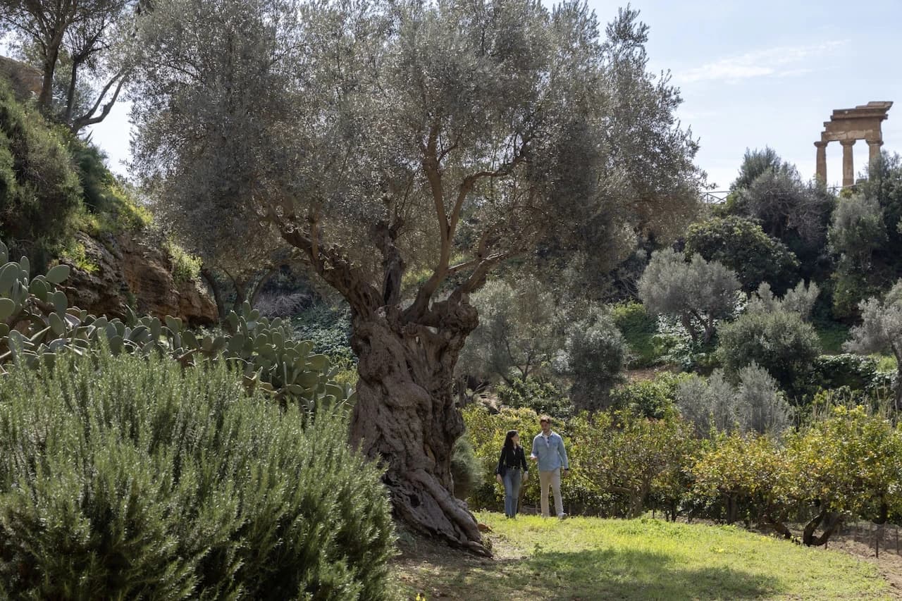 Camminate nella biodiversità: due giorni di scoperta guidata della