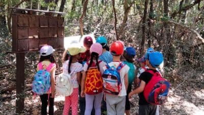 City Nature Challenge al Bioparco: safari urbano per bambini e famiglie