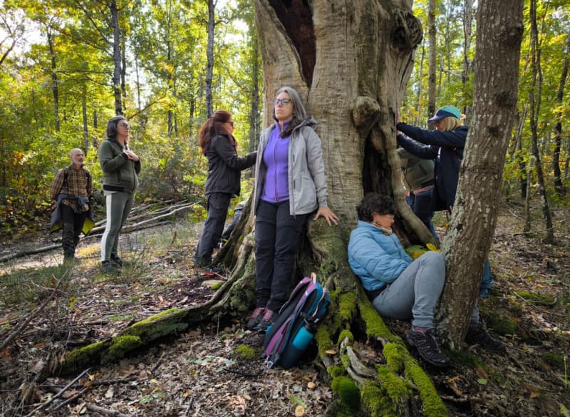 Connessioni Naturali: Giornata Nazionale di NatureTherapy il 19 aprile
