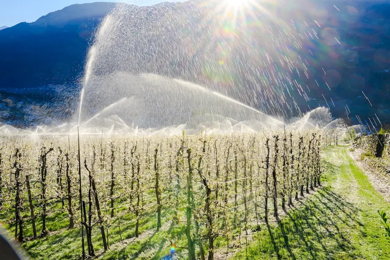 Fioriture in Valtellina: 8 itinerari di media montagna da visitare a