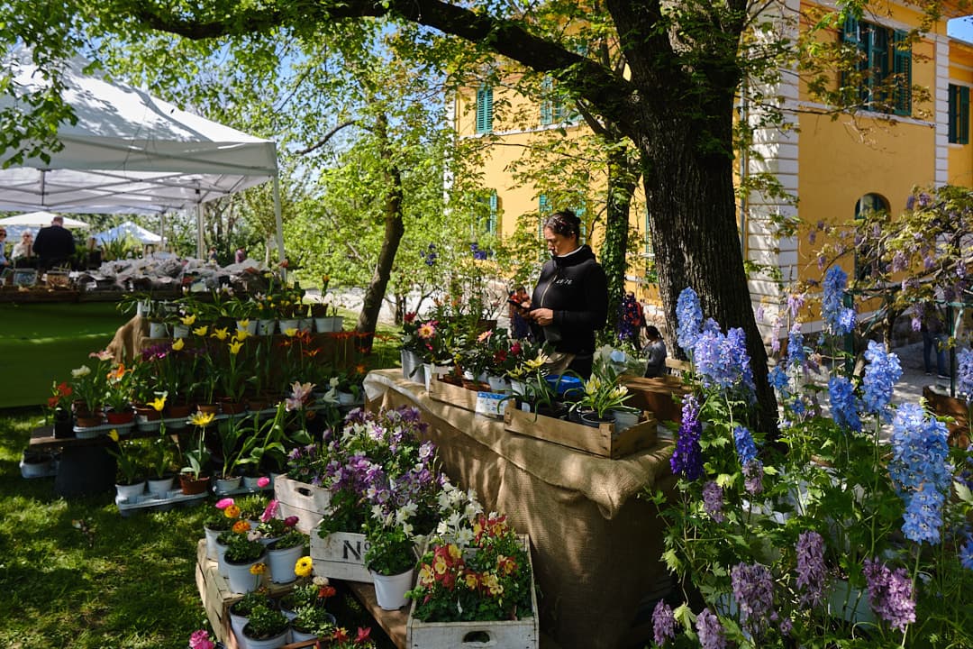Horti Tergestini compie 20 anni: natura, cultura e sostenibilità al