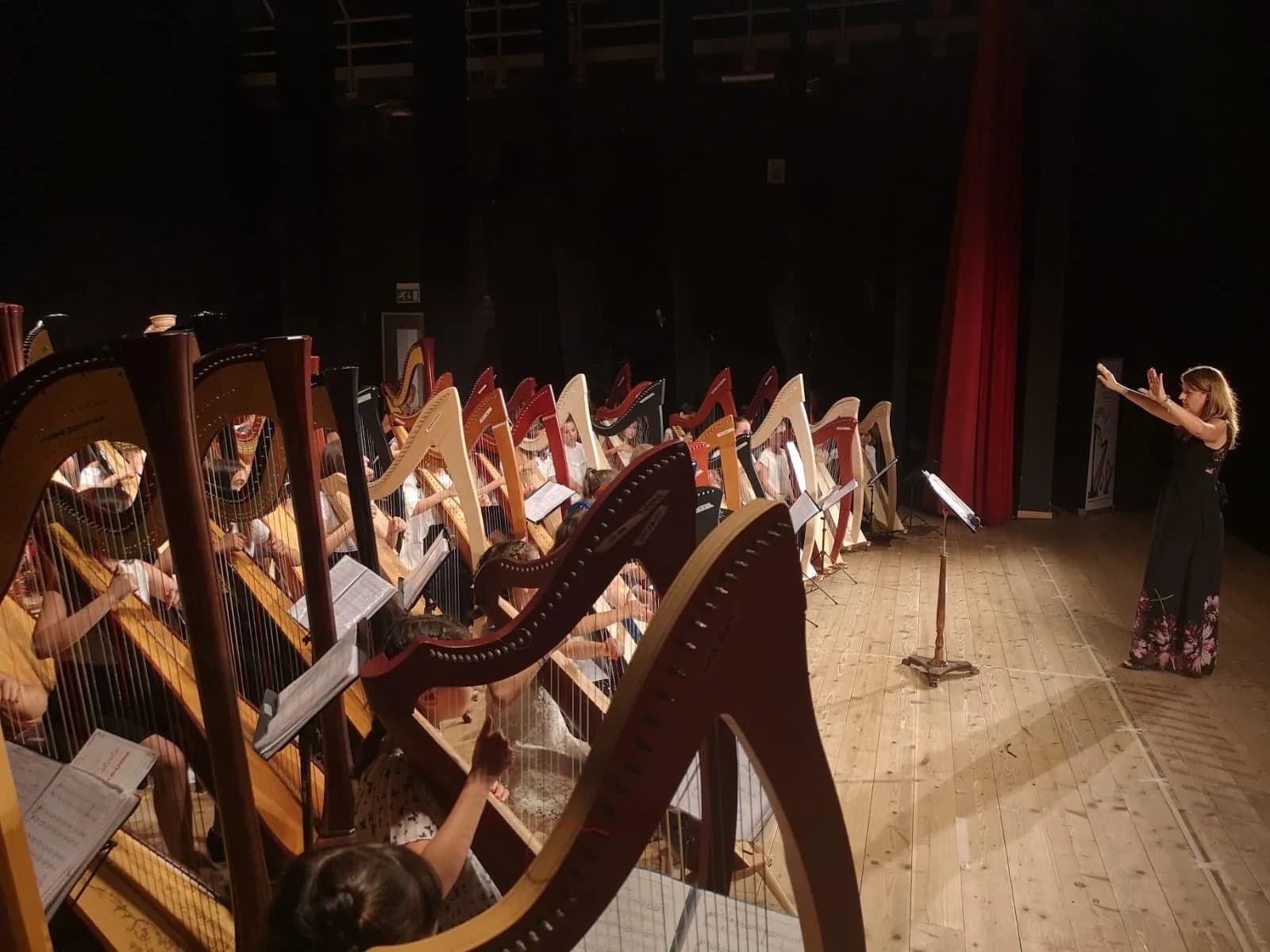 Magia di Primavera: workshop nazionale di arpa al Teatro Massimo di