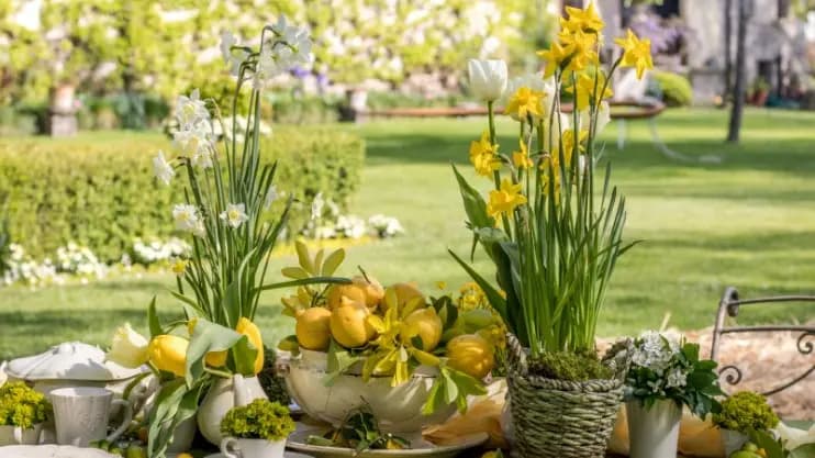 Magici Intrecci al Castello di Strassoldo di Sopra: artigianato e