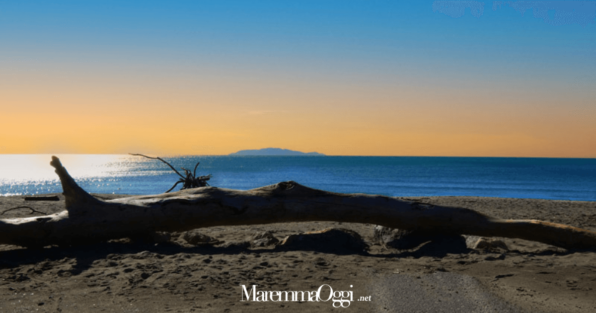 Marina di Alberese (Parco della Maremma): tra le sei spiagge libere più