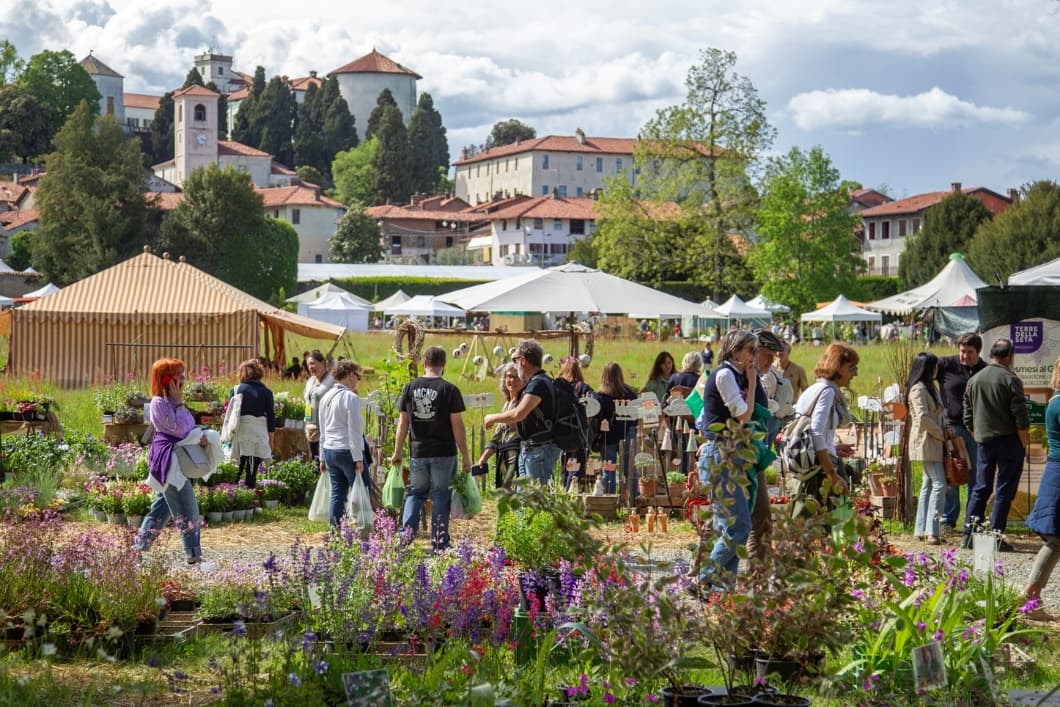 Masino in fiore: Tre Giorni per il Giardino 2026 tra piante, suolo e