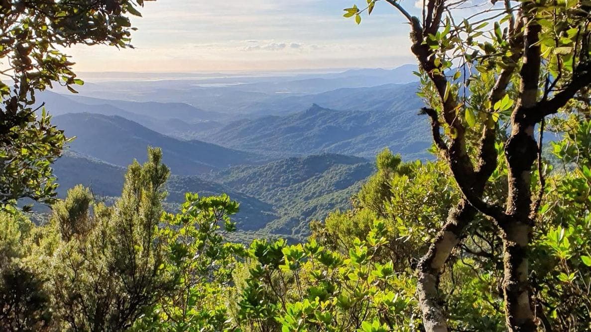 Primavera al Parco Naturale di Gutturu Mannu: escursioni, fotografia e