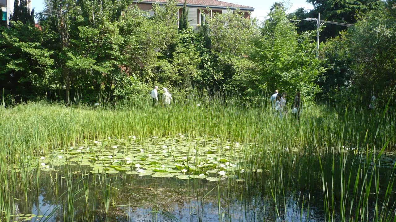 Primavera nelle Oasi WWF dell'Emilia‑Romagna: calendario eventi 2026