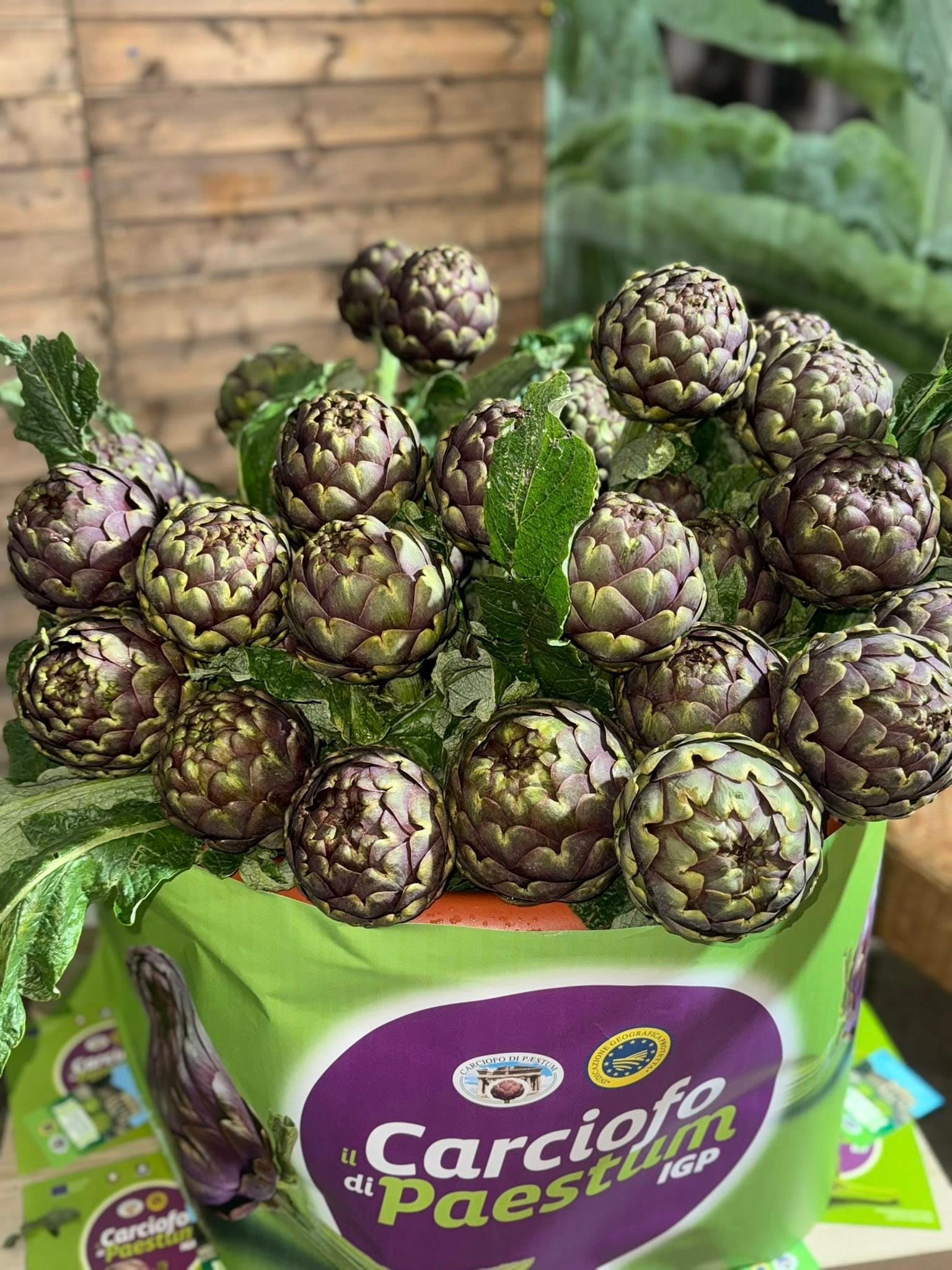 Sagre in Campania: appuntamenti e sapori dal 30 aprile al 3 maggio 2026