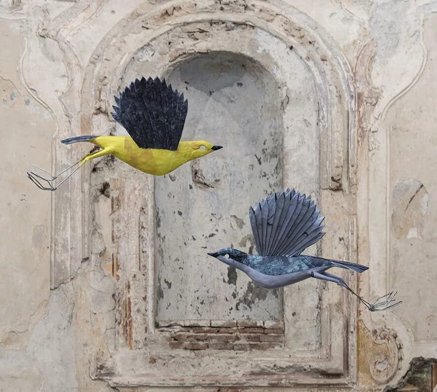 Selvatica 2026 a Biella: festival tra arte e ambiente