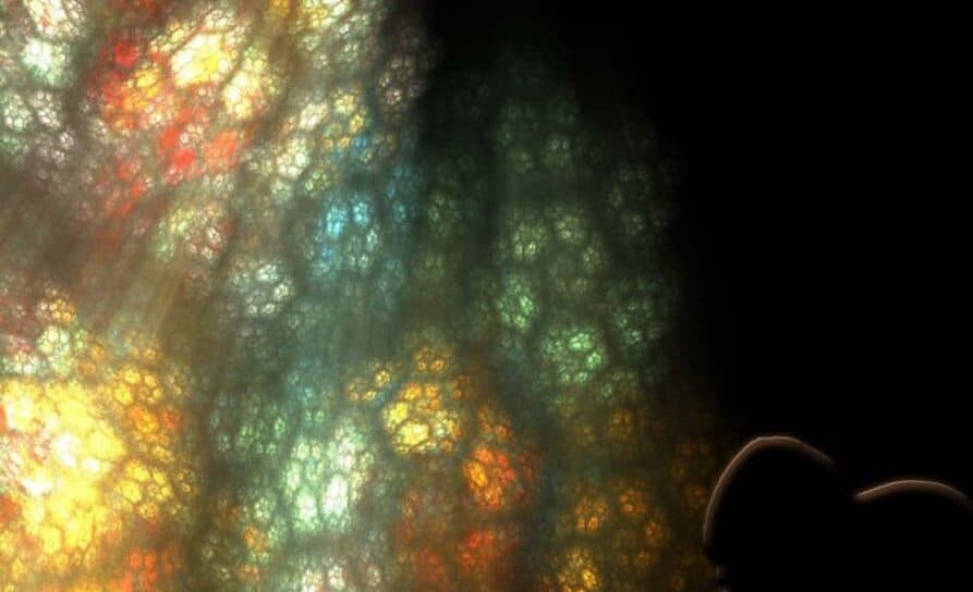 Siponto ti aspetta: visite guidate e laboratori al Parco Archeologico