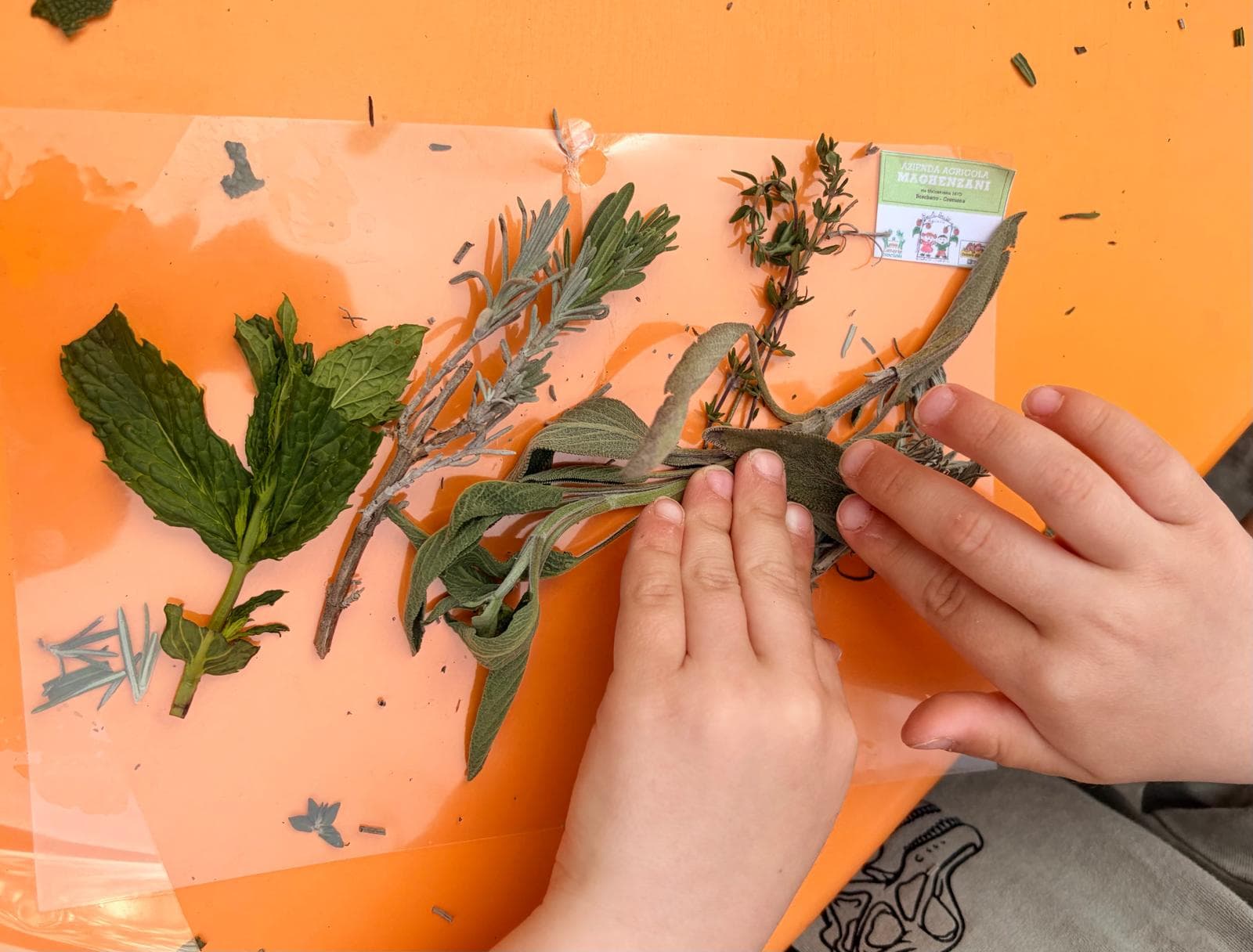 Successo a Cremona per “Gli eventi del venerdì”: laboratori e giochi