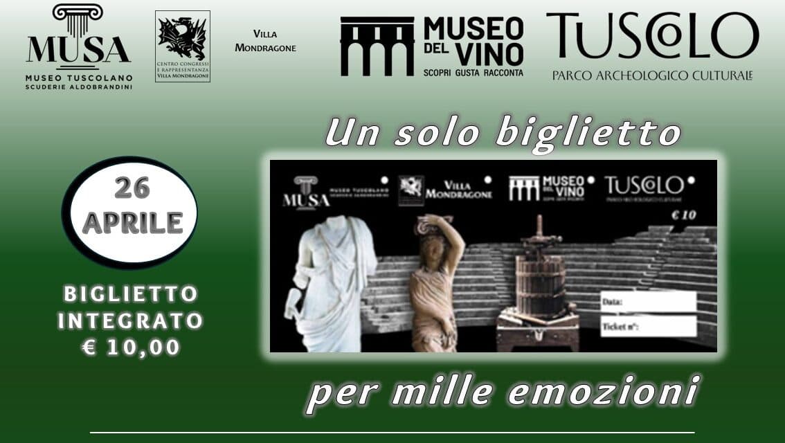 Tesori tuscolani: visite guidate e navette al Parco Archeologico del