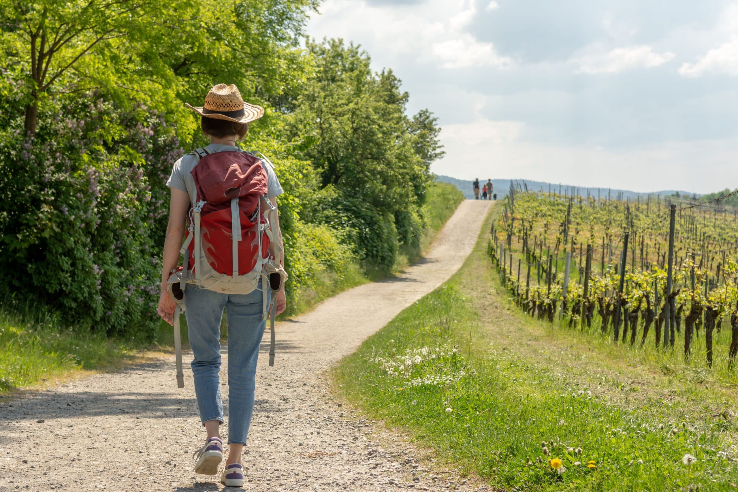 Umbria Wine Trekking: escursioni primaverili tra vigne e borghi