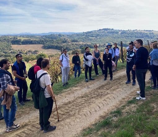 Umbria Wine Trekking: trekking primaverili tra vigne, borghi e