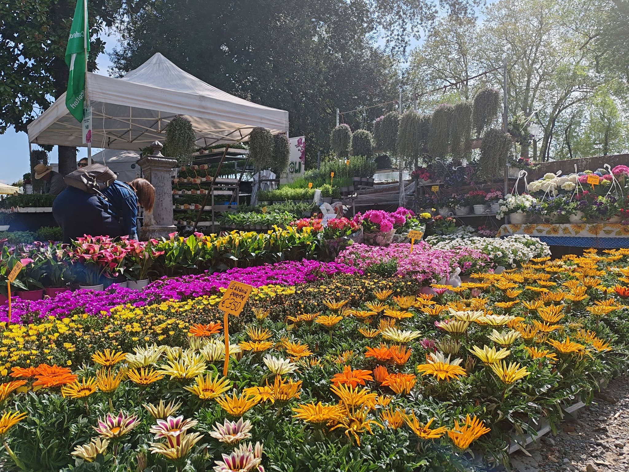 VerdeMura 2026: oltre 20.000 visitatori e laboratori per famiglie sulle Mura di Lucca