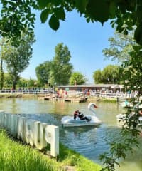 Villaggio dei Fiori 2026: Springmania returns to San Martino Siccomario