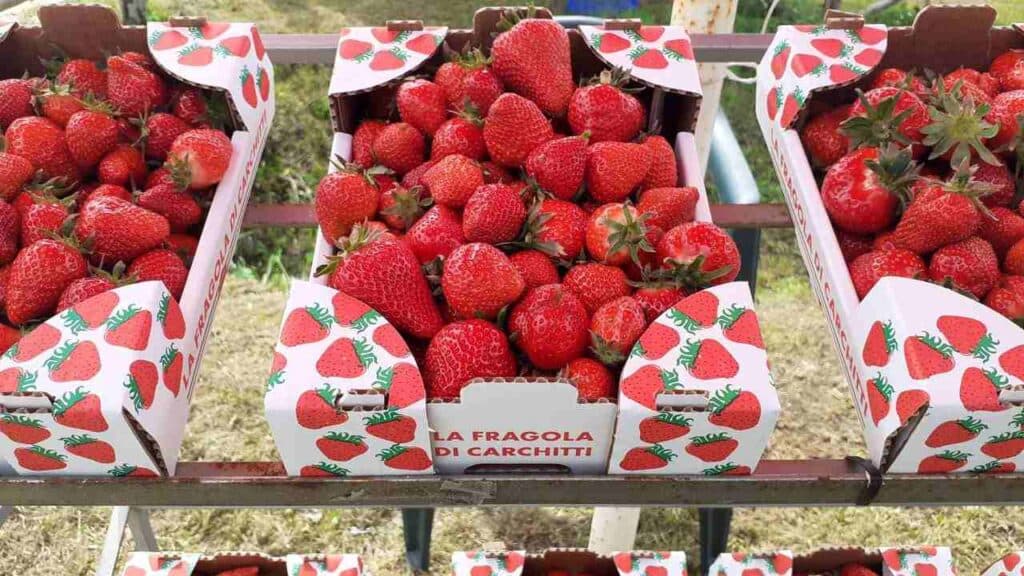Weekend a Roma e provincia: cosa fare il 9 e 10 maggio 2026