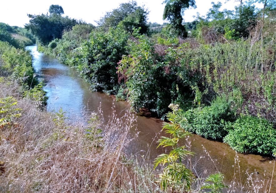 Weekend in natura a Roma e Litorale: sagre, parchi e visite guidate