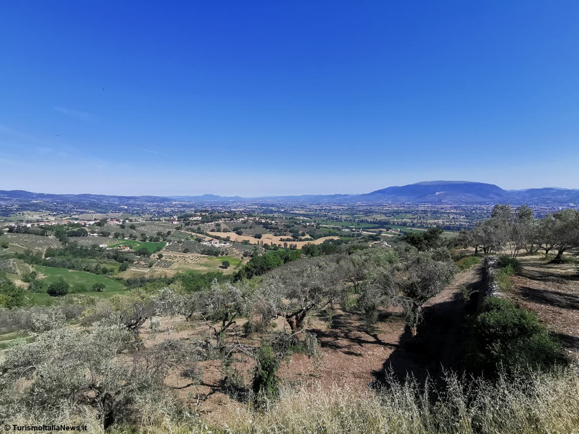 Wine Trekking in Umbria: tra vigneti, borghi e degustazioni a passo